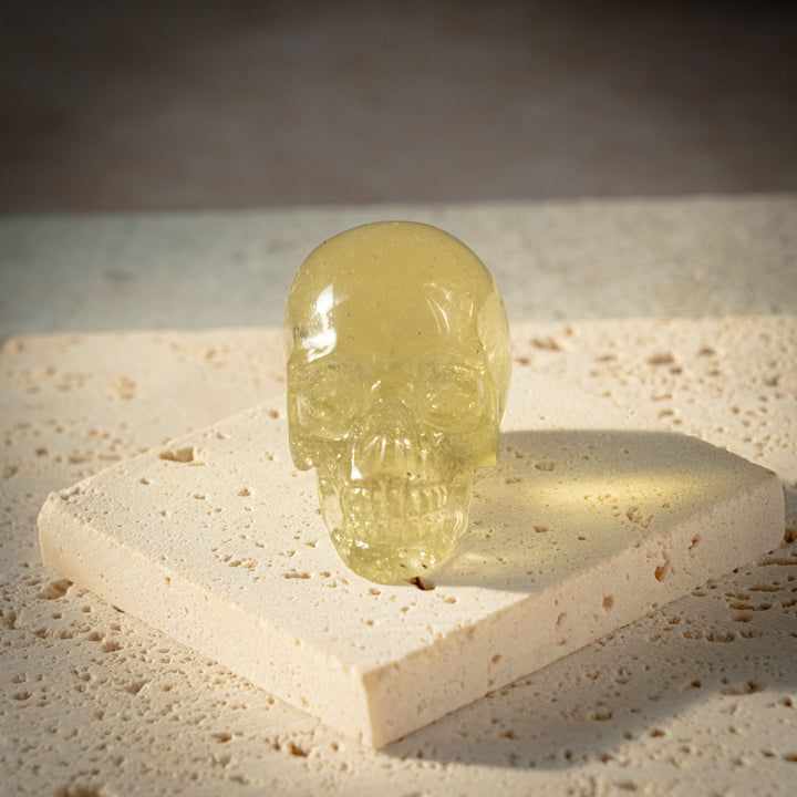 'Solari' Gold Tektite Skull