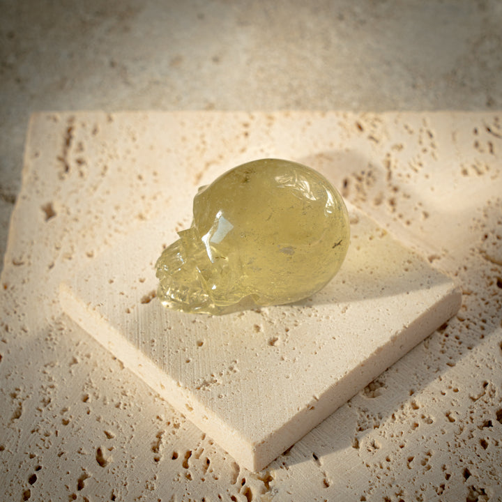 'Solari' Gold Tektite Skull
