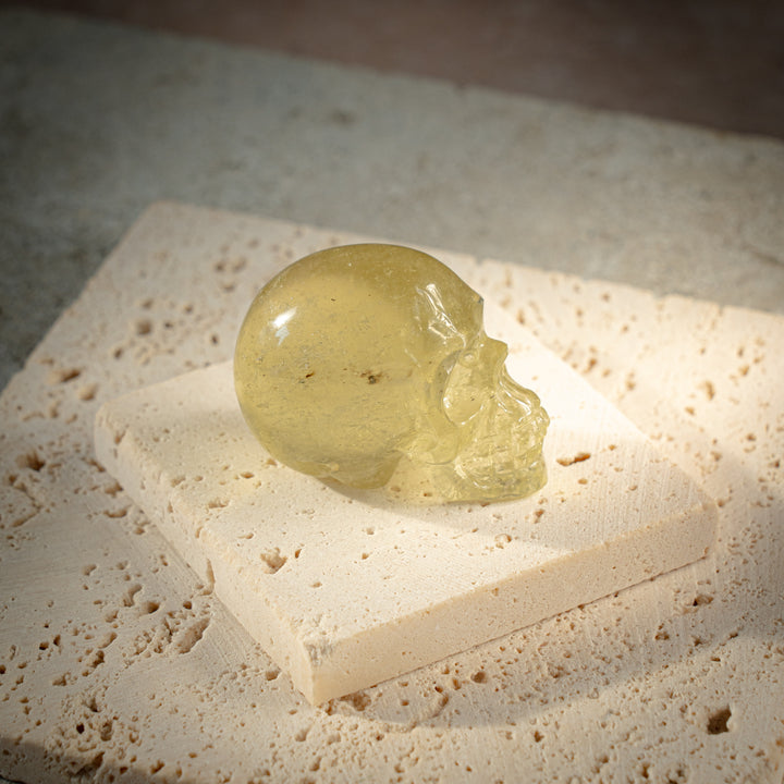 'Solari' Gold Tektite Skull