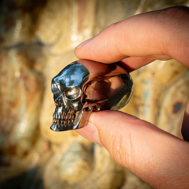 'Xenos' Meteorite Alien Skull