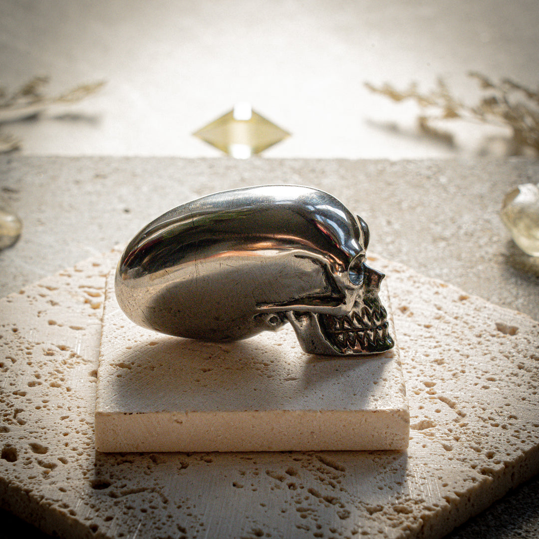 'Xenos' Meteorite Alien Skull