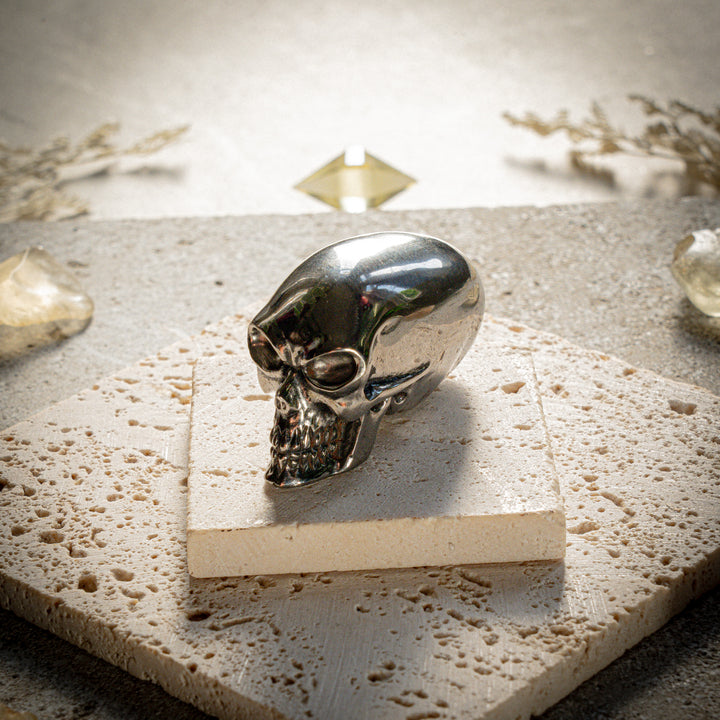 'Xenos' Meteorite Alien Skull